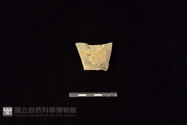 陶片藏品圖，第1張