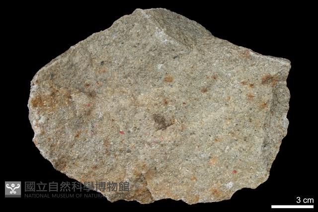 變質砂岩藏品圖，第1張
