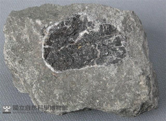 凝灰岩藏品圖，第1張