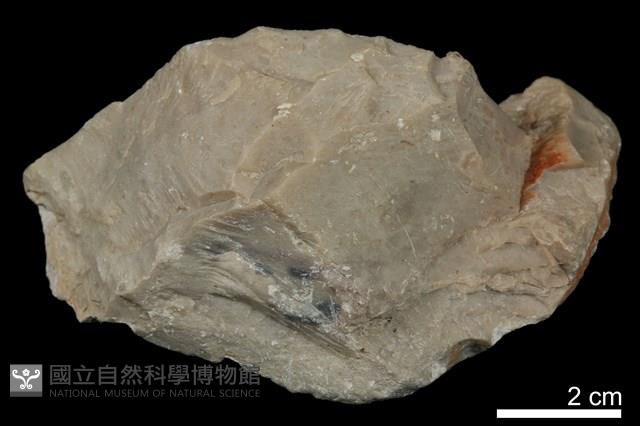葉臘石藏品圖，第1張