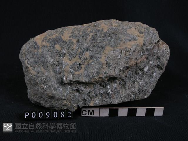 白雲母-綠泥石片岩藏品圖，第1張