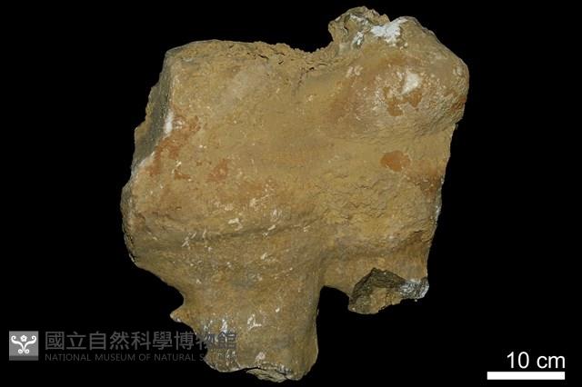 鐘乳石藏品圖，第1張
