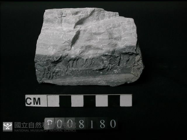 大理岩藏品圖，第1張