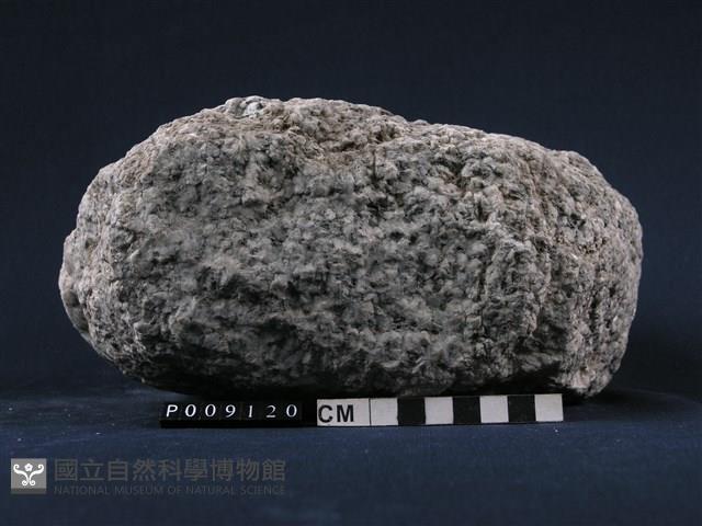白雲母-鈉長石-石英片岩藏品圖，第1張