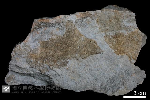 石英砂岩藏品圖，第1張