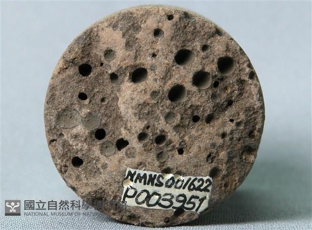 凝灰岩藏品圖，第1張