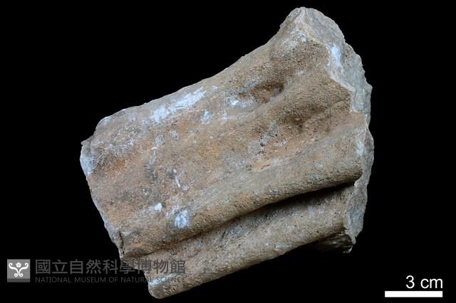 鐘乳石藏品圖，第1張
