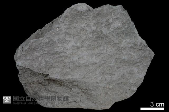 泥岩藏品圖，第1張