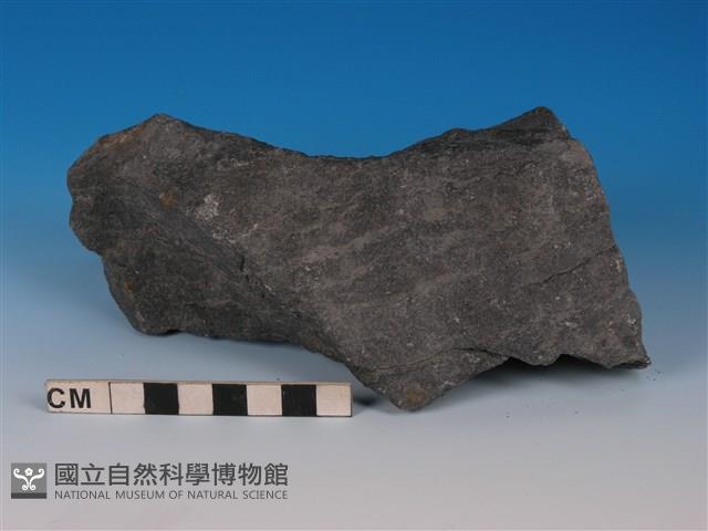 硬頁岩藏品圖，第1張