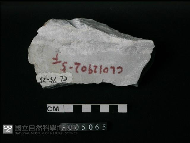 大理岩藏品圖，第1張