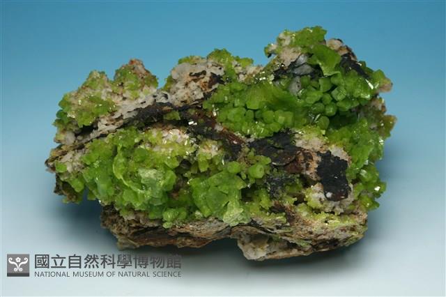 磷氯鉛礦 藏品圖，第1張