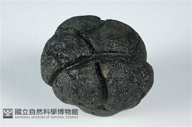 似曜岩類藏品圖，第1張