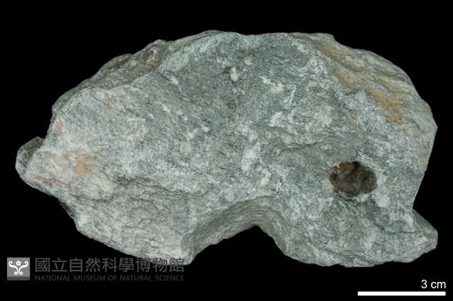 滑石-鐵白雲石片岩藏品圖，第1張