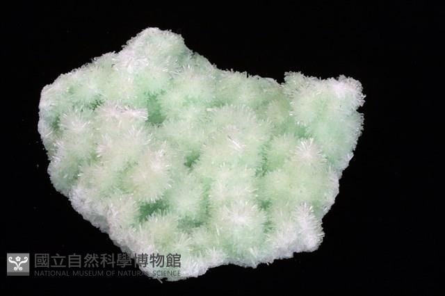 透石膏藏品圖，第1張