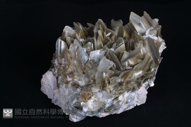 白雲母藏品圖，第1張