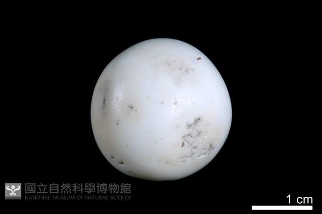 洞穴珍珠藏品圖，第1張