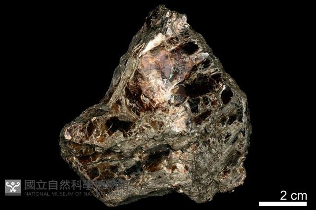 金雲母藏品圖，第1張