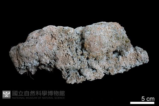 石灰華藏品圖，第1張