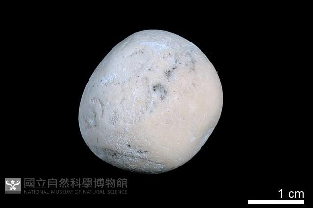 洞穴珍珠藏品圖，第1張