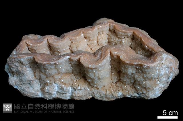 石灰華藏品圖，第1張