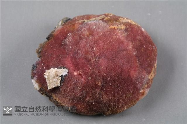 紅矽鈣錳礦藏品圖，第1張