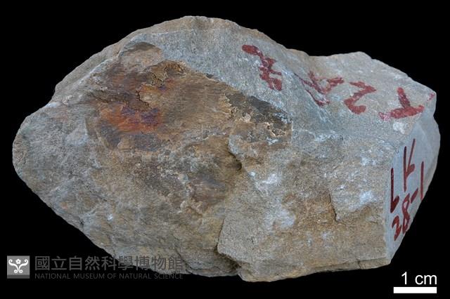 砂岩藏品圖，第1張