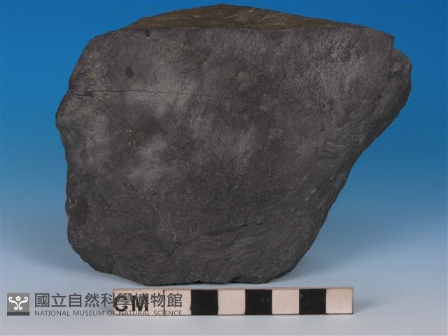 硬頁岩藏品圖，第1張