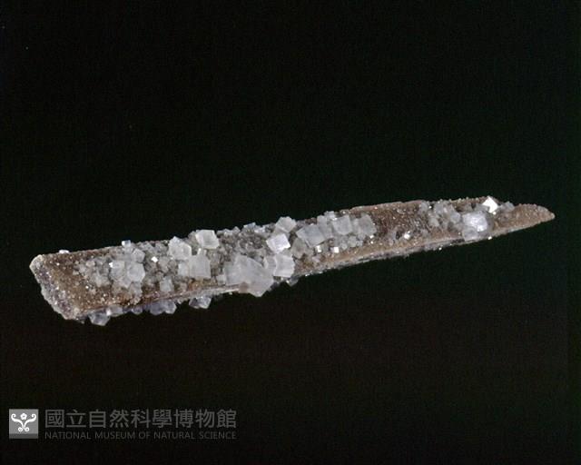 鹽岩藏品圖，第1張