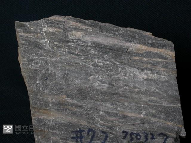 大理岩藏品圖，第1張