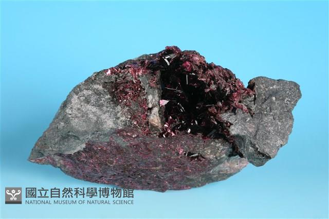 鈷華藏品圖，第1張