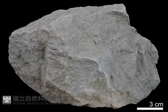 粉砂岩藏品圖，第1張