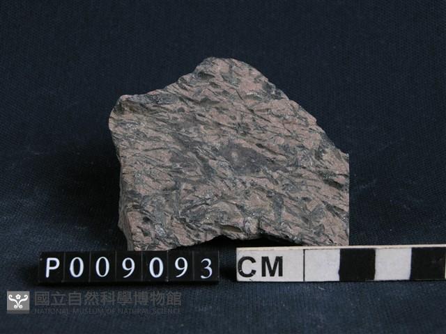 石榴子石-藍直閃石片岩藏品圖，第1張