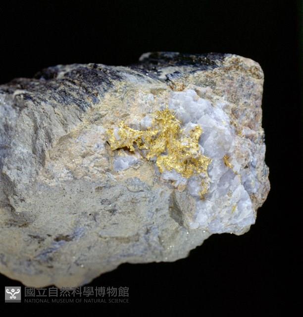 自然金藏品圖，第1張