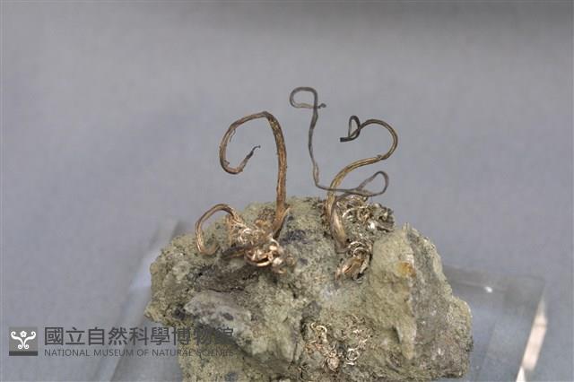 自然銀藏品圖，第1張