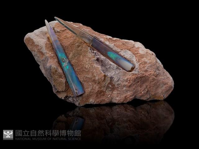 蛋白石藏品圖，第3張