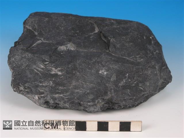 硬頁岩藏品圖，第1張