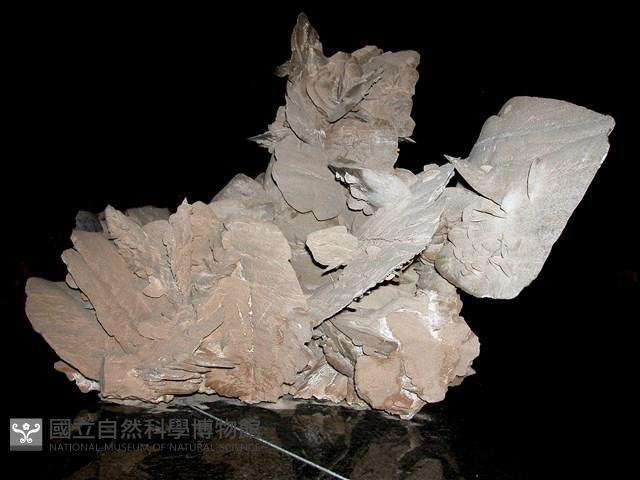 透石膏/石膏藏品圖，第1張
