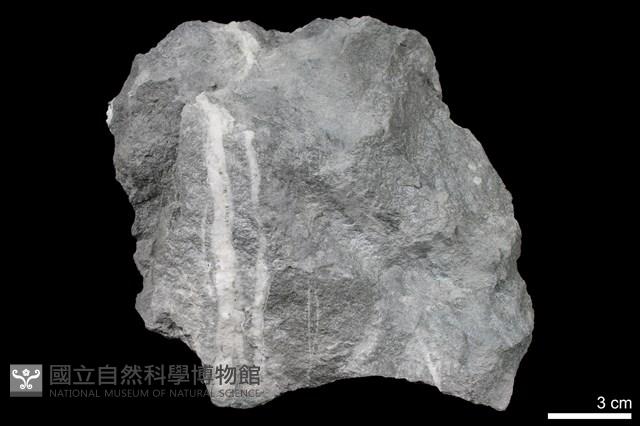 變質砂岩藏品圖，第1張