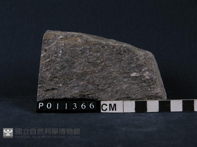 黑雲母片麻岩藏品圖，第1張