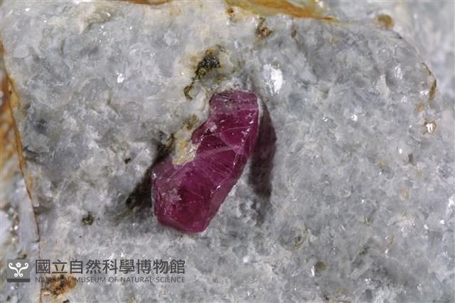 紅寶石藏品圖，第1張