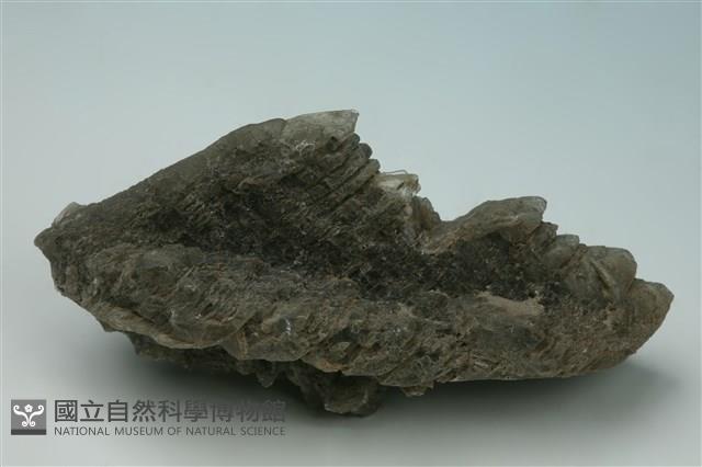 石膏藏品圖，第1張