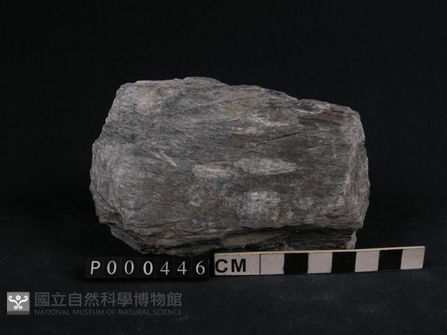 矽質片岩藏品圖，第1張