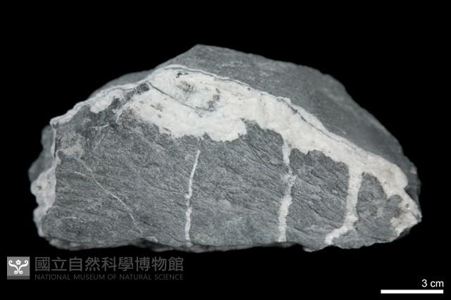 硬頁岩藏品圖，第1張