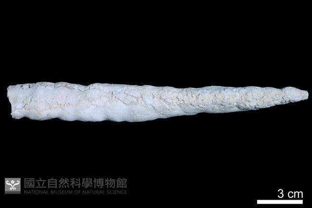 鐘乳石藏品圖，第1張