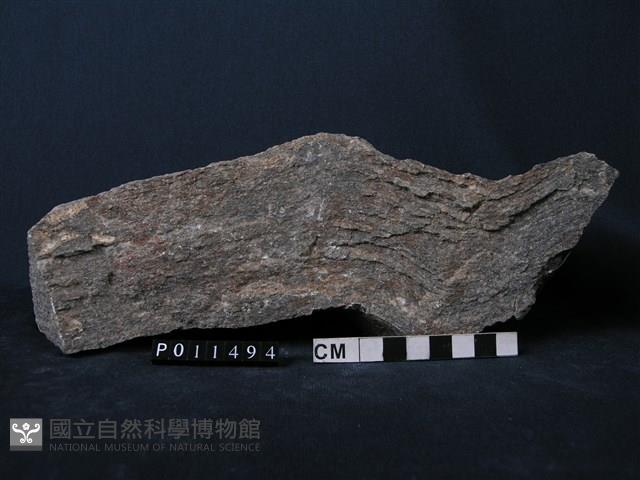 正片麻岩藏品圖，第1張