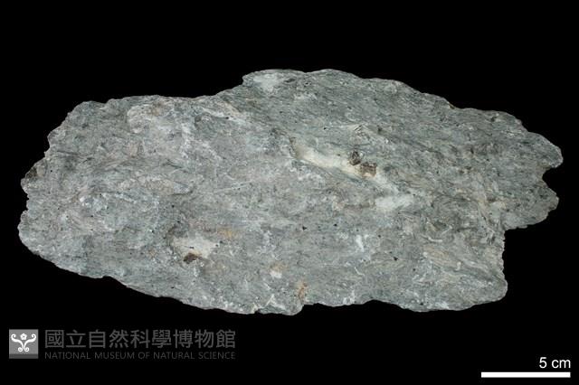 磁鐵礦-鐵白雲石-滑石片岩藏品圖，第1張