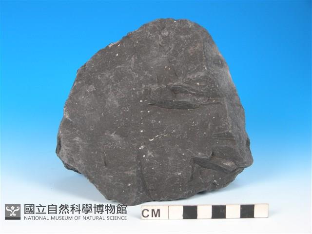 硬頁岩藏品圖，第1張