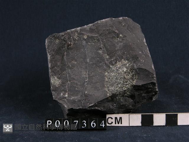 尖晶石橄欖岩藏品圖，第1張