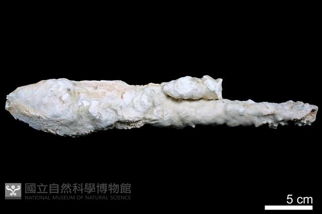 鐘乳石藏品圖，第1張