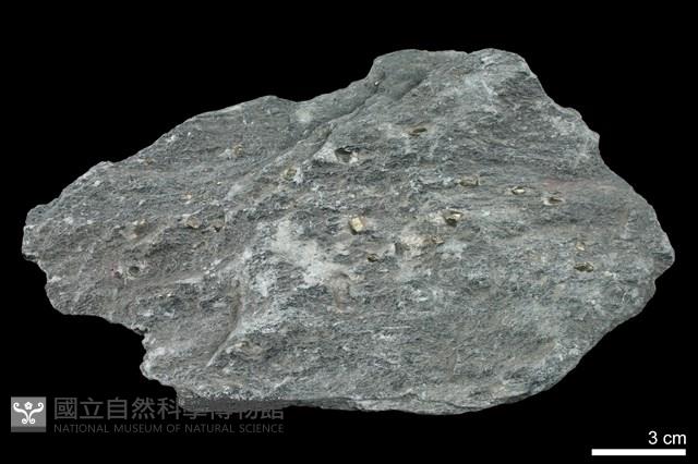 滑石-磁鐵礦片岩藏品圖，第1張